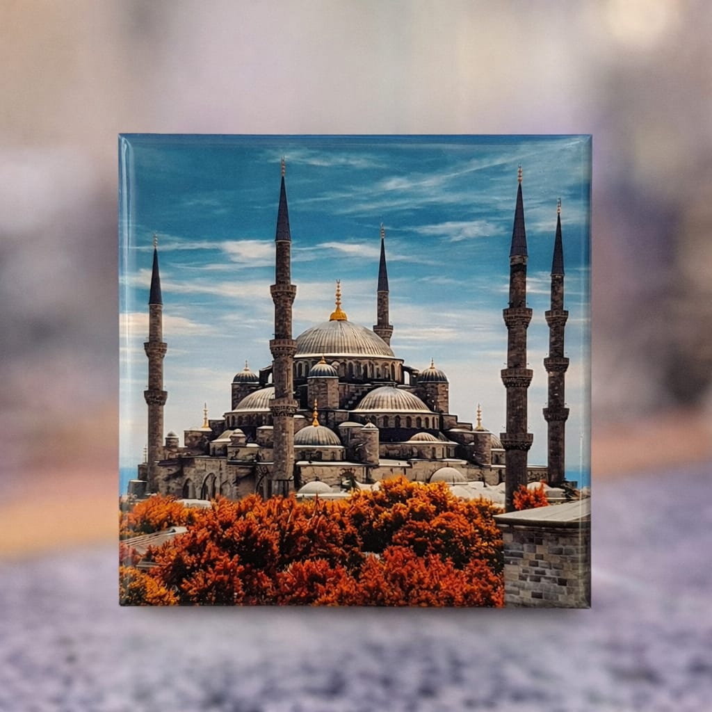 Şehir Turistlik Koleksiyon&Hediyelik Magnetler (50 Adet)